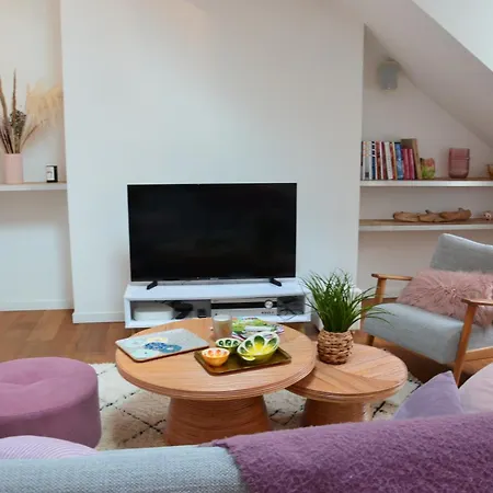 Appartement Grand Loft 110m Cœur Historique Et Parking Privé Rare