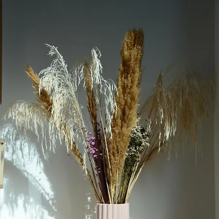 Grand Loft 110m Coeur Historique Et Parking Prive Rare Апартаменты *