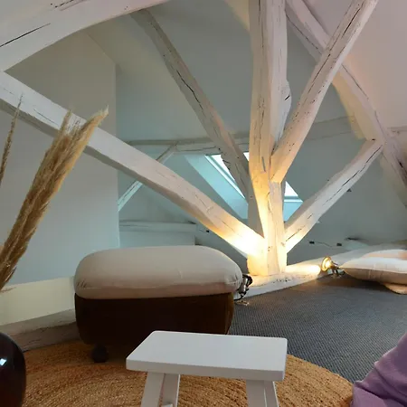 Grand Loft 110m Cœur Historique Et Parking Privé Rare Appartement Angers