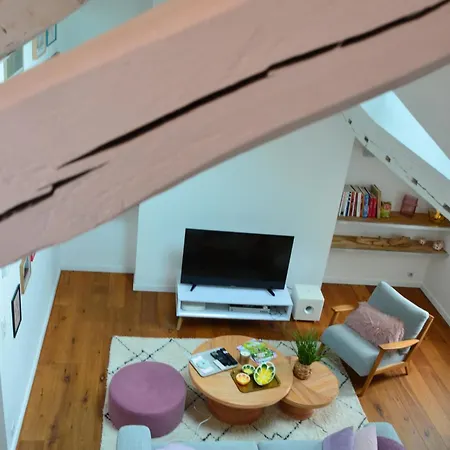 Grand Loft 110m Coeur Historique Et Parking Prive Rare Apartament Angers