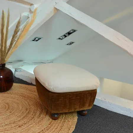 Grand Loft 110m Cœur Historique Et Parking Privé Rare *