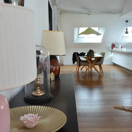 Grand Loft 110m Coeur Historique Et Parking Prive Rare Анже