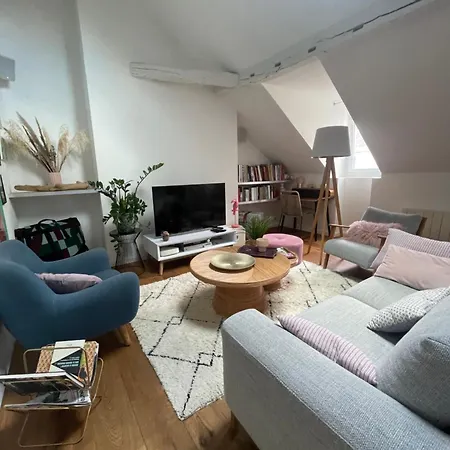 Апартаменты Grand Loft 110m Coeur Historique Et Parking Prive Rare